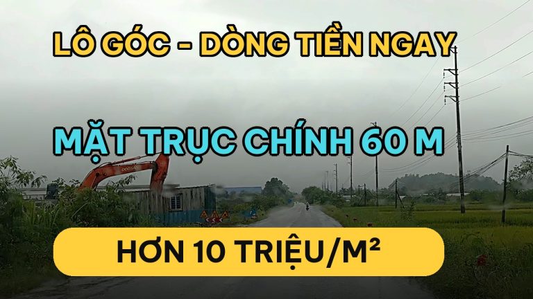 Bán đất Hòa Lạc 1.315 m² lô góc mặt trục chính đô thị 60 m — khu tái định cư Yên Xuân vừa khởi công