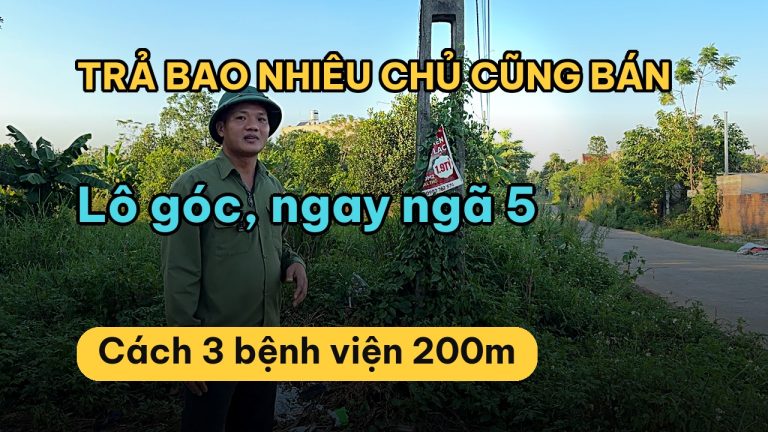 Bán đất Hòa Lạc 623,3 m² lô góc làn 2 vành đai 4.5, cách 3 bệnh viện trung ương 200 m