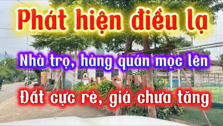 Cách đọc tín hiệu biển cho thuê để mua đất trước khi 17.166 sinh viên nhập học