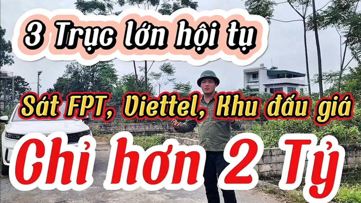 Đọc giá đấu giá cho đúng khi mua đất dân xung quanh