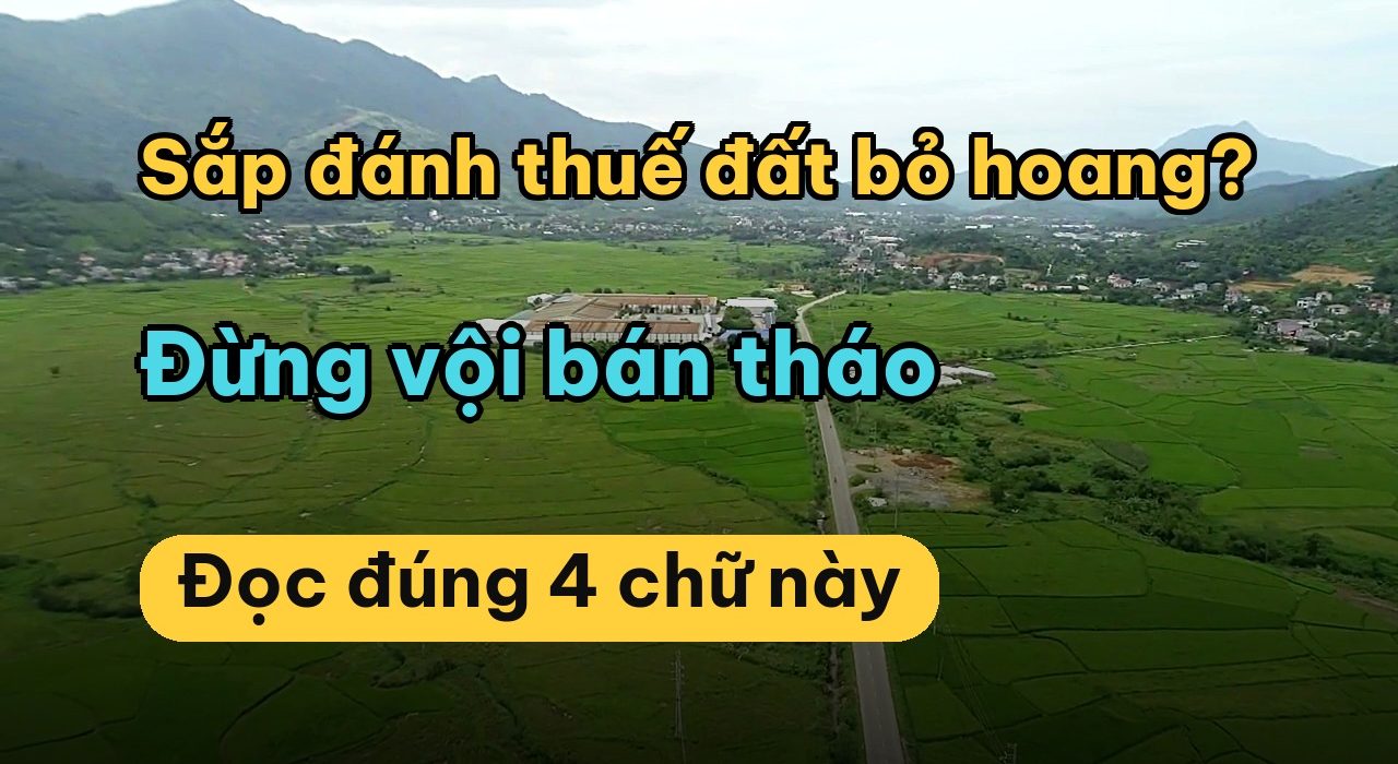 Dự thảo Luật Đất đai sửa đổi đánh vào ai? Đất có sổ để không có bị thu hồi