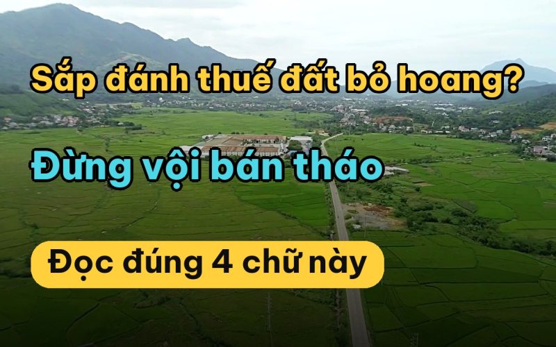 Dự thảo Luật Đất đai sửa đổi đánh vào ai? Đất có sổ để không có bị thu hồi