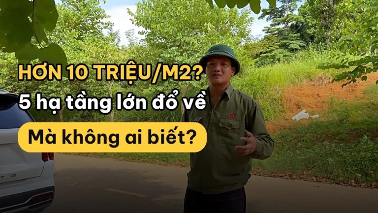 Cách chọn đất nền Hòa Lạc Yên Xuân khi giá còn hơn 10 triệu một mét