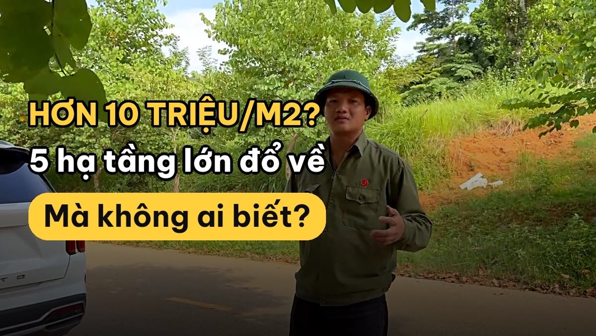 Khảo sát đất nền Hòa Lạc Yên Xuân: 100.000 sinh viên, Metro, vành đai 5 đổ về một chỗ