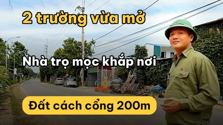 Bán đất Hòa Lạc 2 mặt tiền 140 m² trục chính Phú Cát, xây nhà trọ