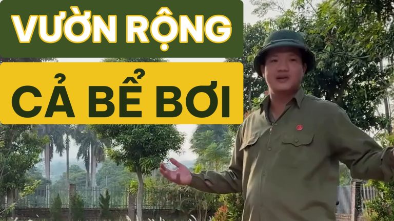 Bán đất Hòa Lạc xây biệt thự: 362 m² Phú Gia Viên, mặt tiền hơn 8 m, hơn 20 triệu/m²