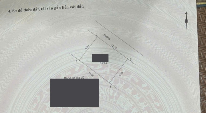 Ảnh sổ đỏ đã che thông tin cá nhân — Đất nền Hòa Lạc giá rẻ: 124 m² mặt tiền 12,5 m, hàng xóm toàn biệt thự, hơn 2 tỷ