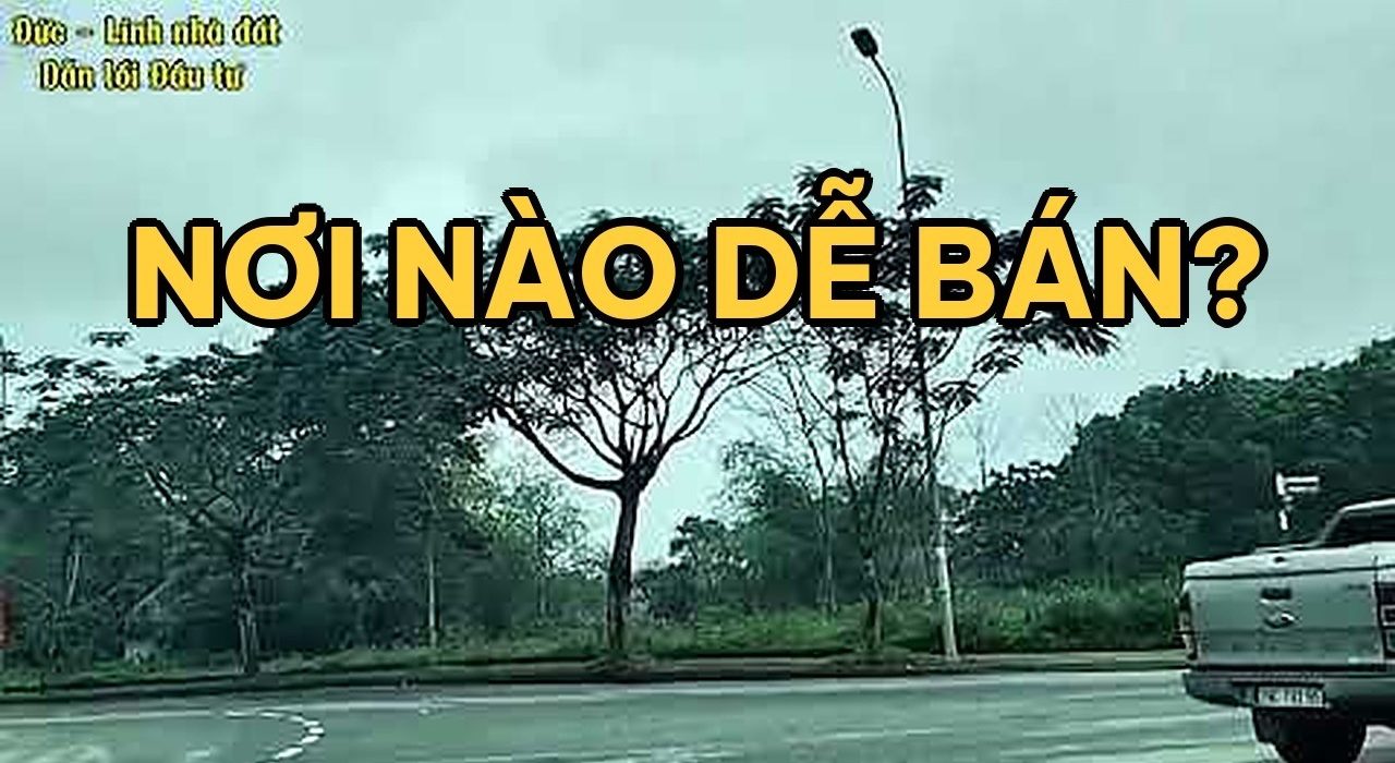 Mua đất Hòa Lạc hay Đông Anh, Gia Lâm: so sánh thanh khoản 2026