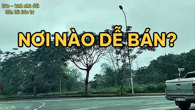Mua đất Hòa Lạc hay Đông Anh, Gia Lâm: so sánh thanh khoản 2026