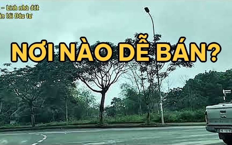 Mua đất Hòa Lạc hay Đông Anh, Gia Lâm: so sánh thanh khoản 2026