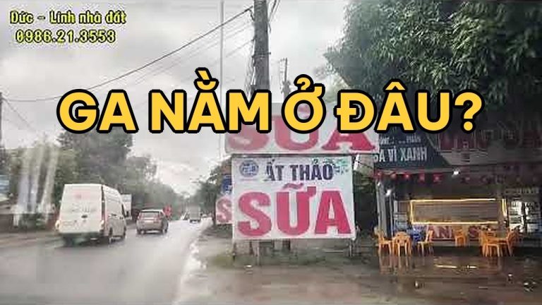 Mua đất Hòa Lạc quanh Metro số 5: chọn vùng nào quanh 5 ga